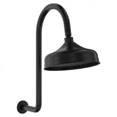 Fienza Lilian Goosenek Wall Arm and Rose - Matte Black